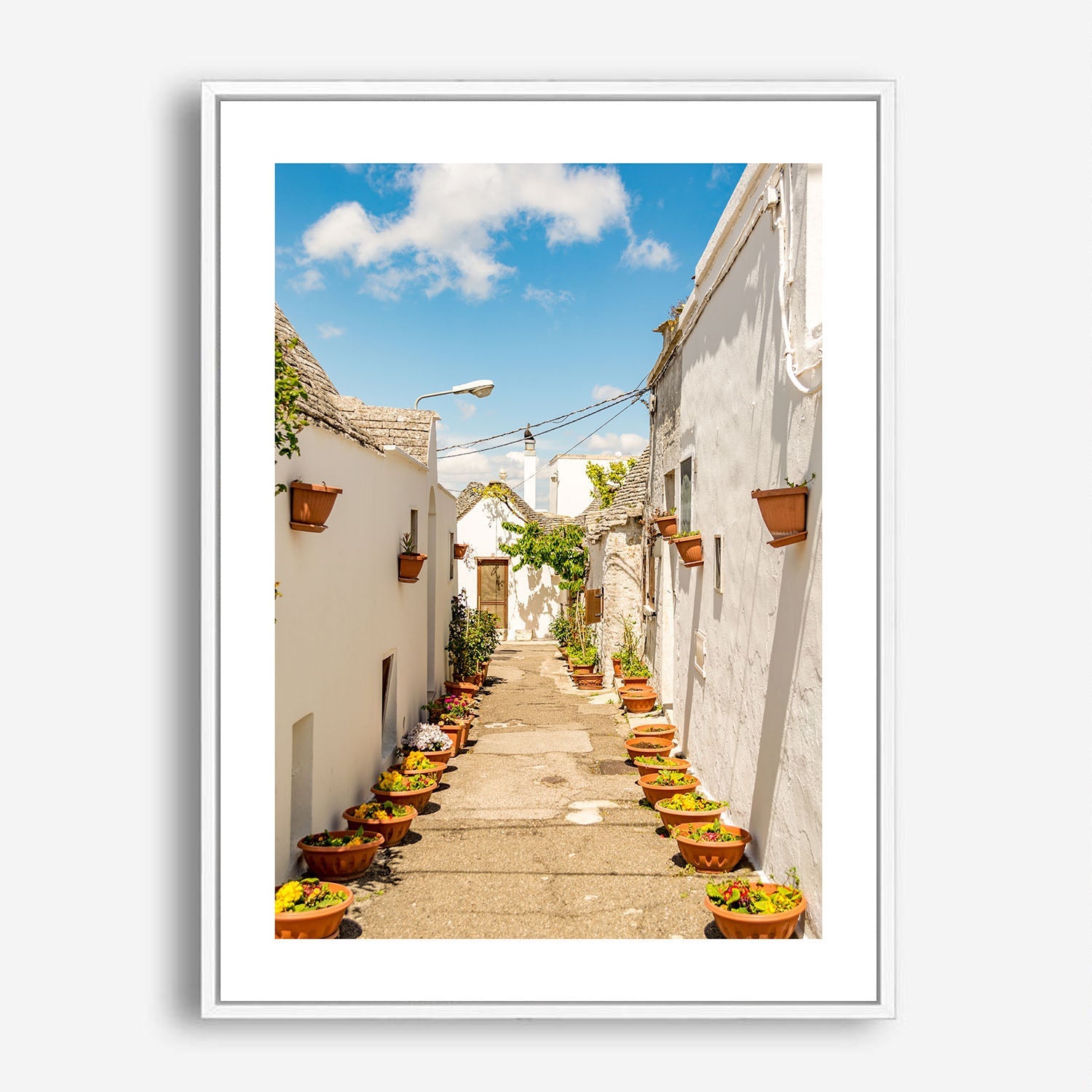 Wes Co Gallery Poster Flower Lined Alleyway 5 x 7" Home Goods - Nature  Art Print