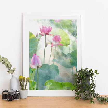 Wes Co Gallery Poster Water Lily 12 x 16" Home Goods - Illustrations White border only Art Print