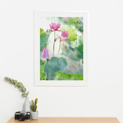 Wes Co Gallery Poster Water Lily 16 x 20" Home Goods - Illustrations White border only Art Print