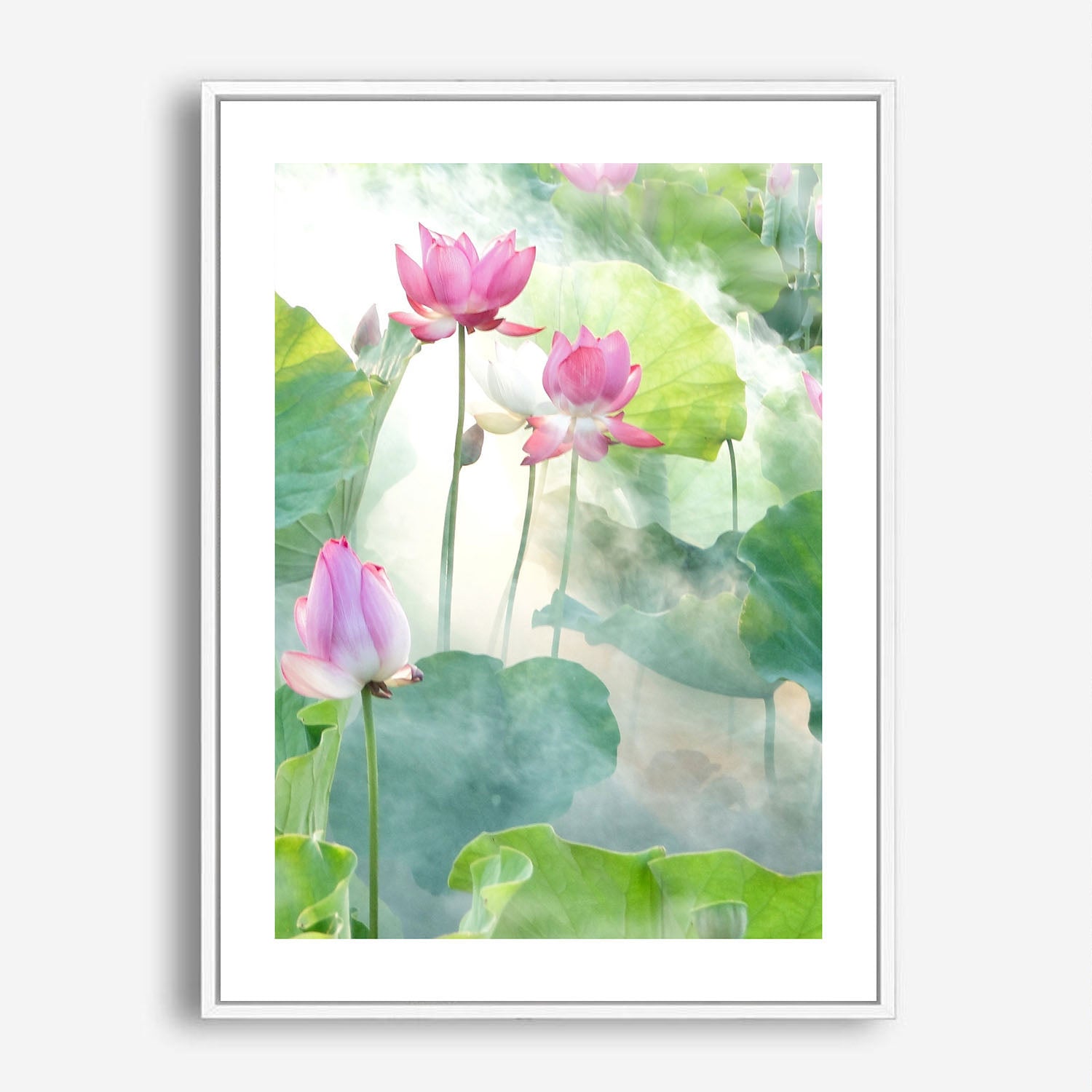 Wes Co Gallery Poster Water Lily 5 x 7" Home Goods - Illustrations White border only Art Print