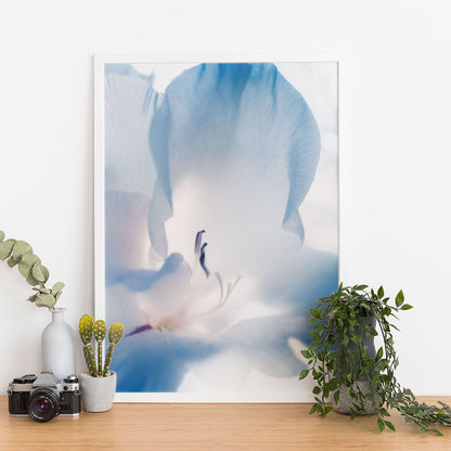 Wes Co Gallery Poster Blue Flower 11 x 17" Home Goods - Nature Border or edge to edge Art Print