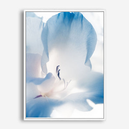 Wes Co Gallery Poster Blue Flower 8 x 10" Home Goods - Nature Border or edge to edge Art Print