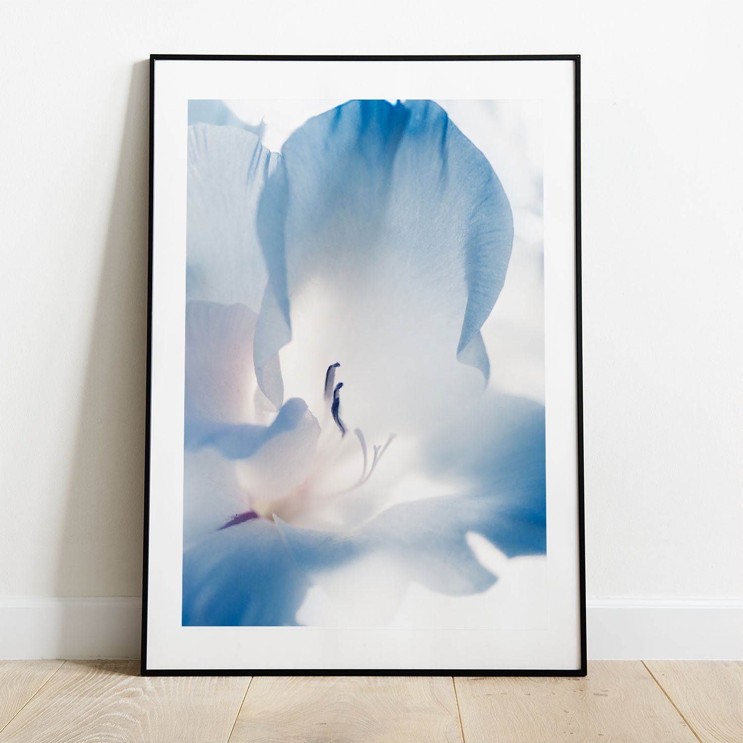 Wes Co Gallery Poster Blue Flower 5 x 7" Home Goods - Nature Border or edge to edge Art Print