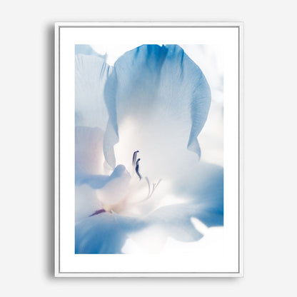 Wes Co Gallery Poster Blue Flower 5 x 7" Home Goods - Nature Border or edge to edge Art Print