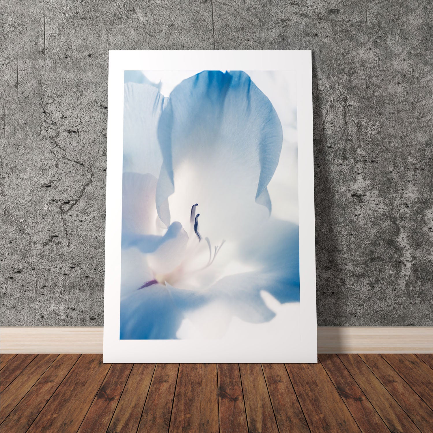 Wes Co Gallery Poster Blue Flower 8 x 10" Home Goods - Nature Border or edge to edge Art Print