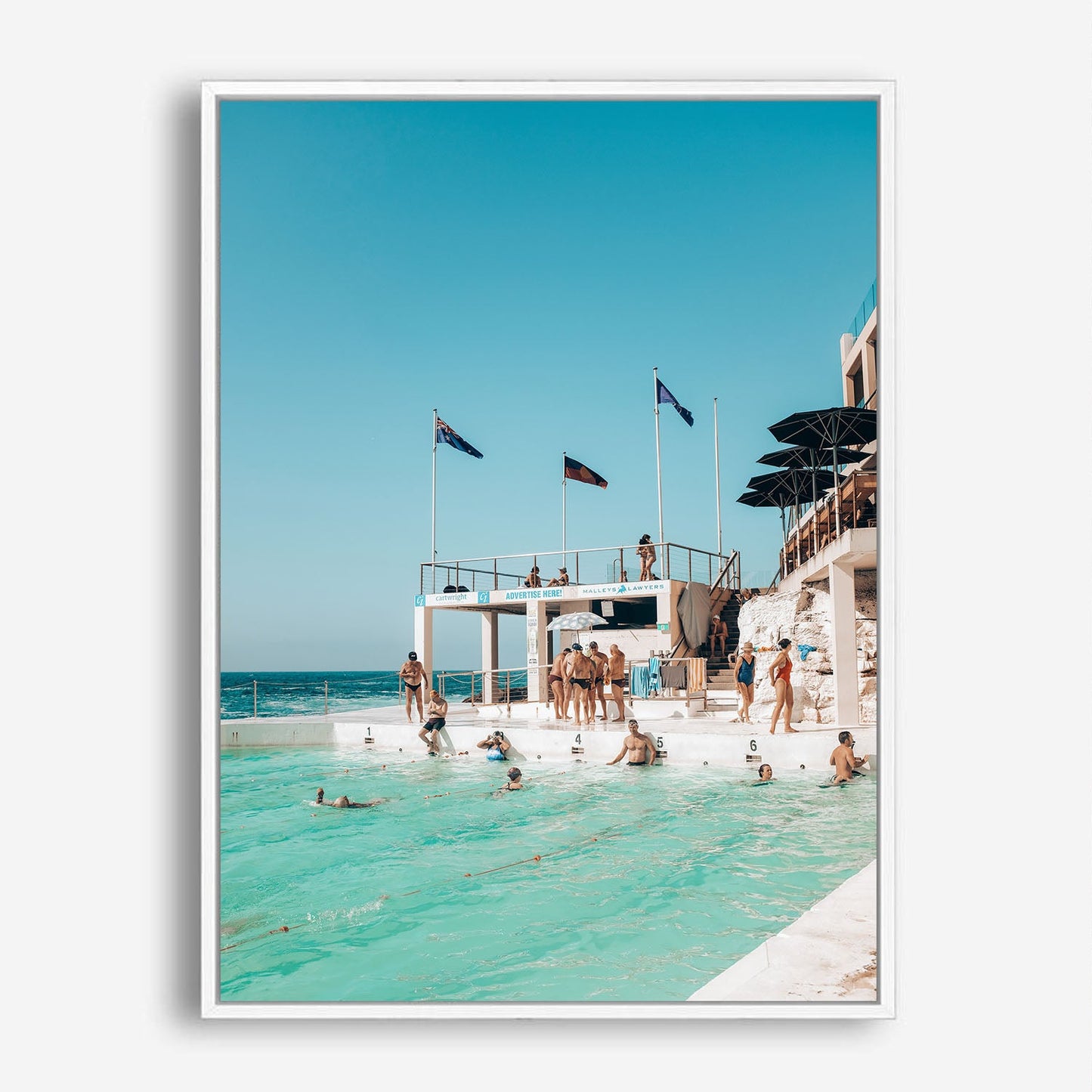 Wes Co Gallery Poster Bondi Icerbergs Swimmers 8 x 10" Home Goods - Travels Border or edge to edge Art Print