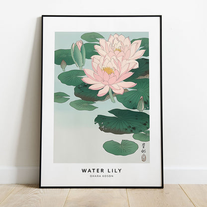 Wes Co Gallery Poster Water Lily Profile by Ohara Koson 8 x 10" Home Goods - Artist Edge to edge Art Print