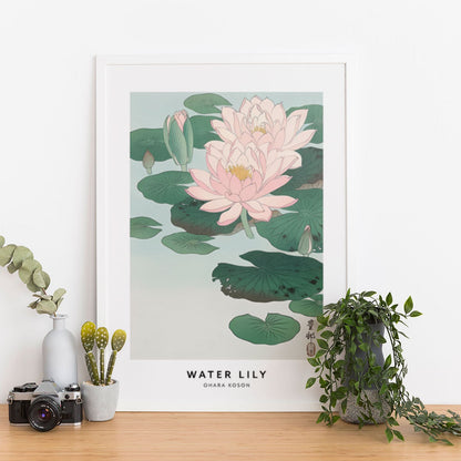 Wes Co Gallery Poster Water Lily Profile by Ohara Koson 12 x 16" Home Goods - Artist Edge to edge Art Print