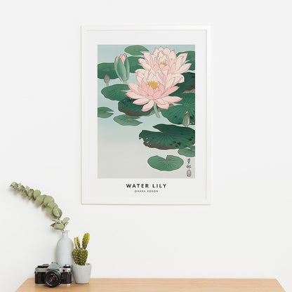 Wes Co Gallery Poster Water Lily Profile by Ohara Koson 16 x 20" Home Goods - Artist Edge to edge Art Print