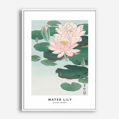 Wes Co Gallery Poster Water Lily Profile by Ohara Koson 5 x 7" Home Goods - Artist Edge to edge Art Print