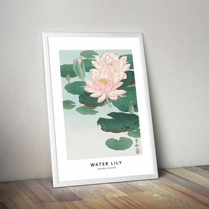 Wes Co Gallery Poster Water Lily Profile by Ohara Koson 16 x 20" Home Goods - Artist Edge to edge Art Print