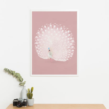 Wes Co Gallery Poster Pink Peacock by Ohara Koson 16 x 20" Home Goods - Artist Edge to edge Art Print