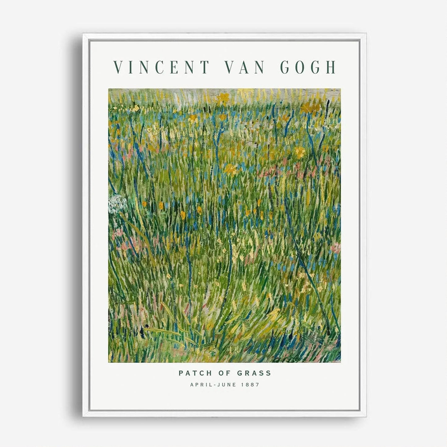 Wes Co Gallery Poster Patch of Grass by Vincent Van Gogh 5 x 7" Home Goods - Artist Edge to edge Art Print