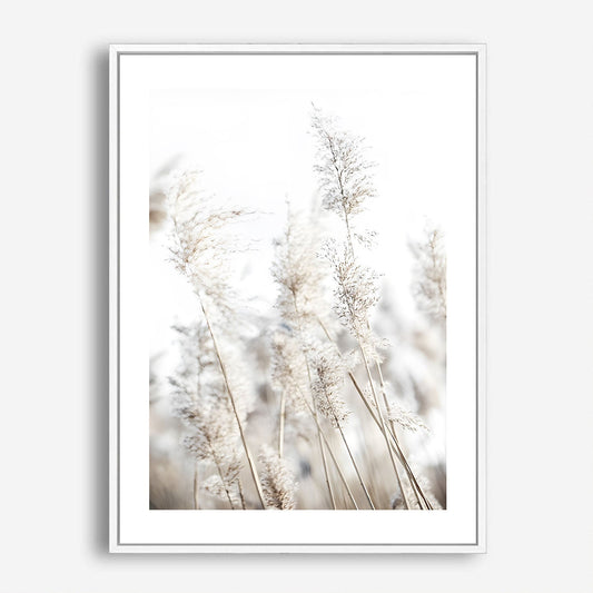 Wes Co Gallery Poster Soft Pampas Grass Nature 5 x 7" Home Goods - Nordic Border or edge to edge Art Print