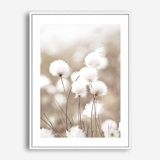 Wes Co Gallery Poster Cotton Flower 5 x 7" Home Goods - Nordic Border or edge to edge Art Print