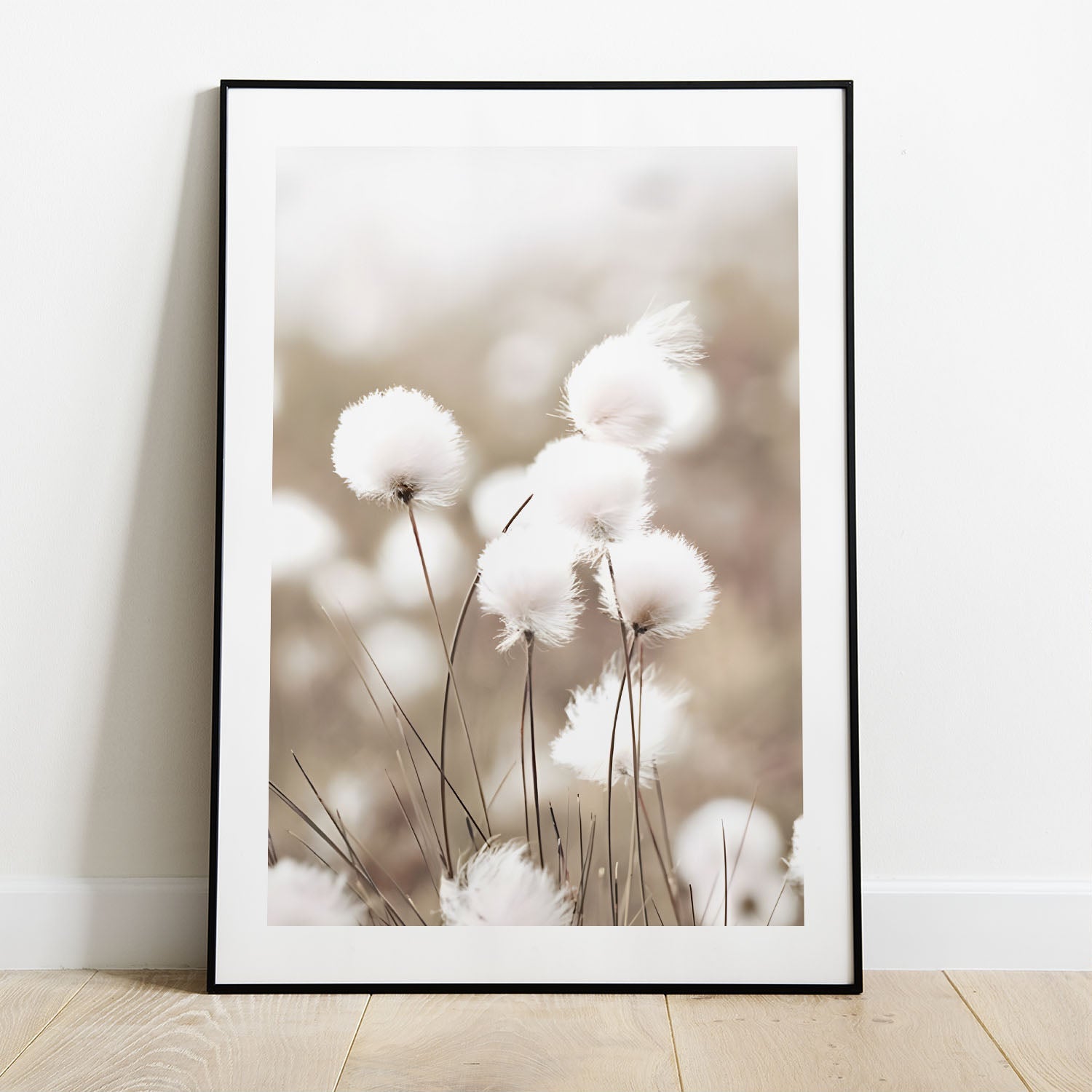 Wes Co Gallery Poster Cotton Flower 5 x 7" Home Goods - Nordic Border or edge to edge Art Print