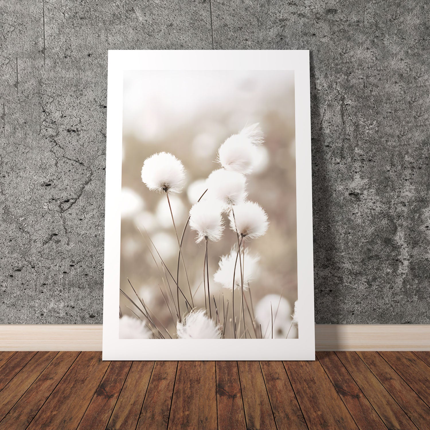 Wes Co Gallery Poster Cotton Flower 8 x 10" Home Goods - Nordic Border or edge to edge Art Print