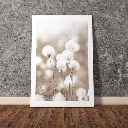 Wes Co Gallery Poster Cotton Flower 8 x 10" Home Goods - Nordic Border or edge to edge Art Print