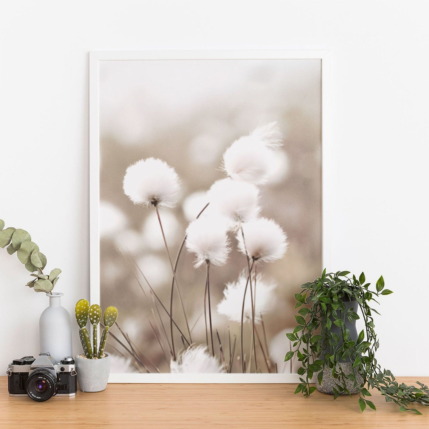 Wes Co Gallery Poster Cotton Flower 11 x 17" Home Goods - Nordic Border or edge to edge Art Print