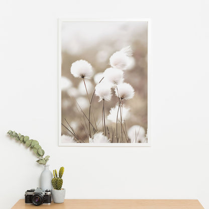 Wes Co Gallery Poster Cotton Flower 11 x 17" Home Goods - Nordic Border or edge to edge Art Print