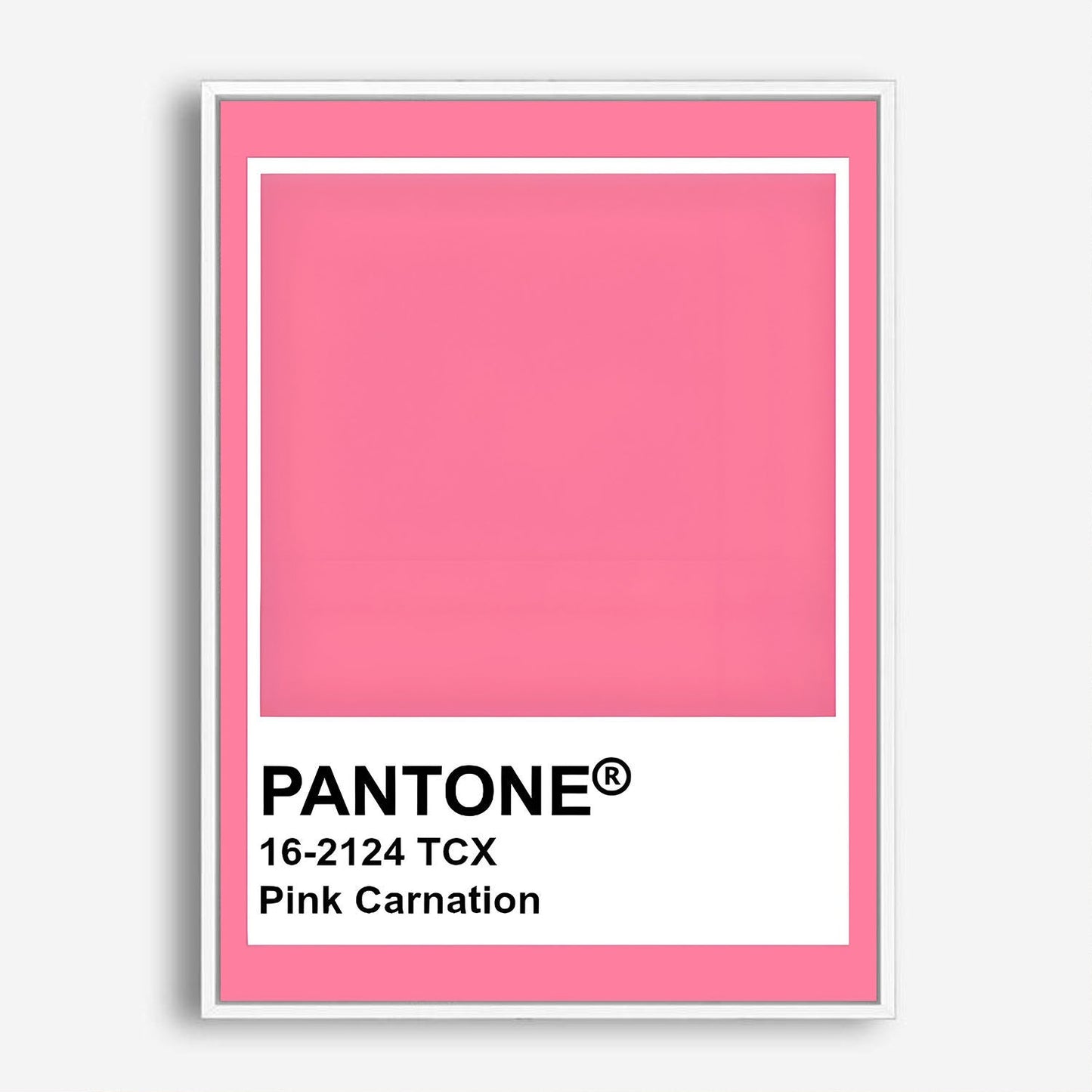 Wes Co Gallery Poster Pantone Pink Carnation 8 x 10" Home Goods - Summer Border or edge to edge Art Print