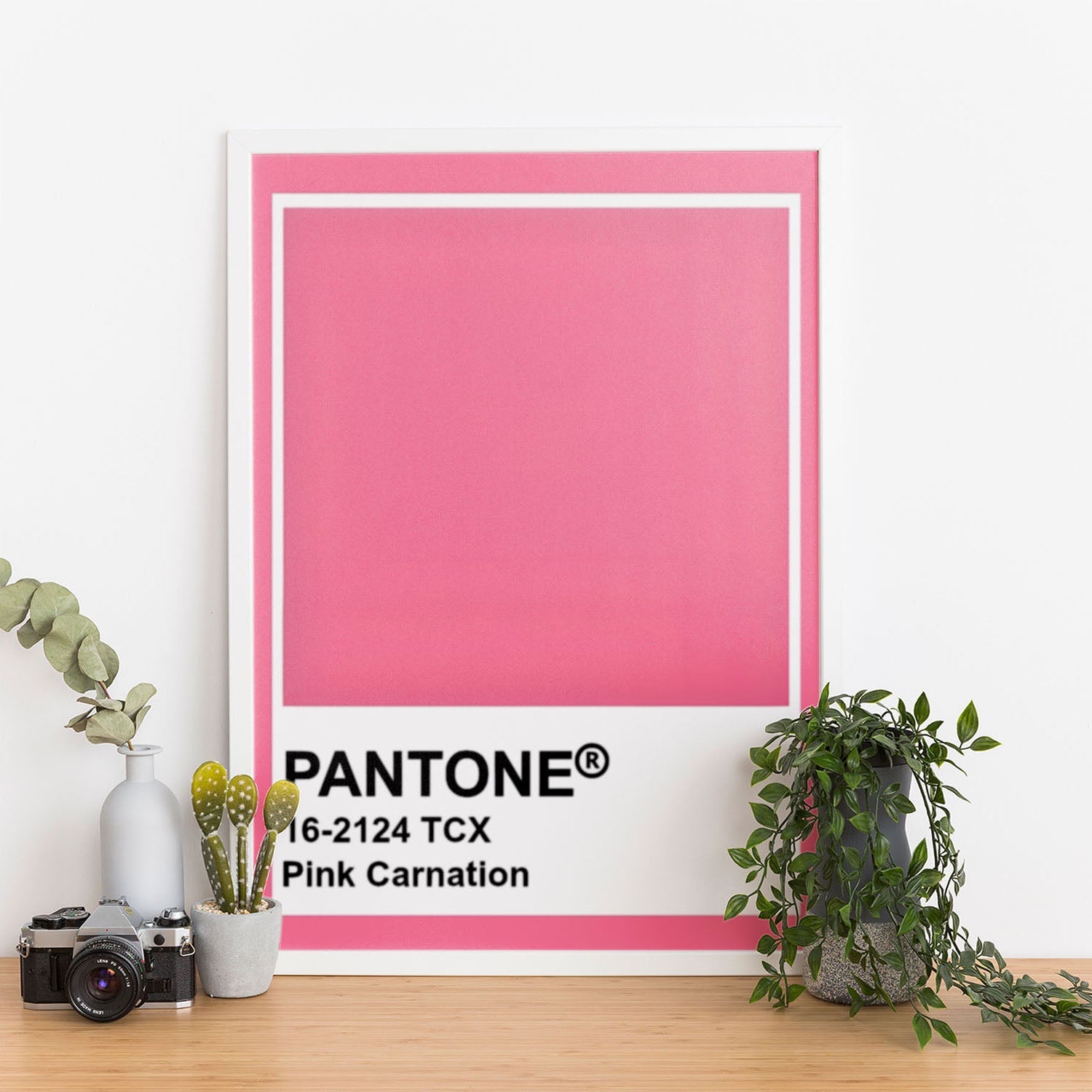 Wes Co Gallery Poster Pantone Pink Carnation 11 x 17" Home Goods - Summer Border or edge to edge Art Print